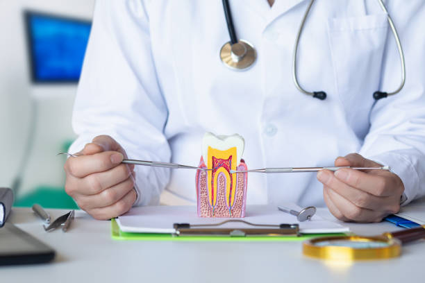 Best Emergency Treatment for Oral Infections in Lorane, PA